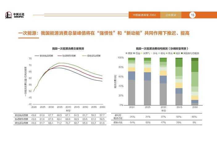 2025年新型能源技术参数对比与进展解析
