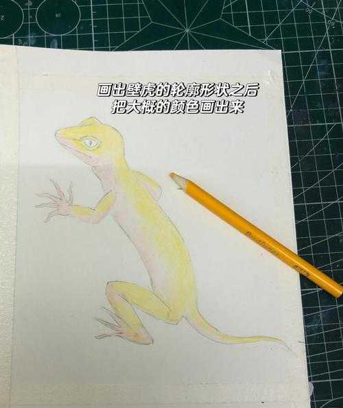 2025年新手必收 5套超详细动物彩铅教程图鉴