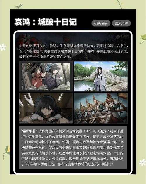 2025年新手玩家 凤盗网游 社区融入指南