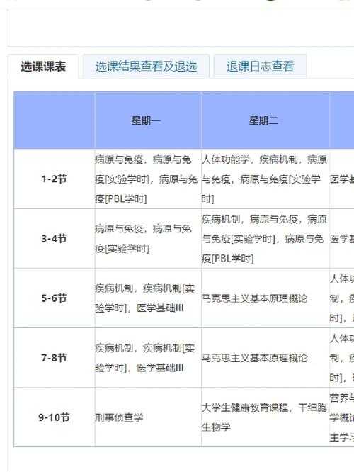2025年新手玩家职业选择指南 生存 操作与资源的三重考验