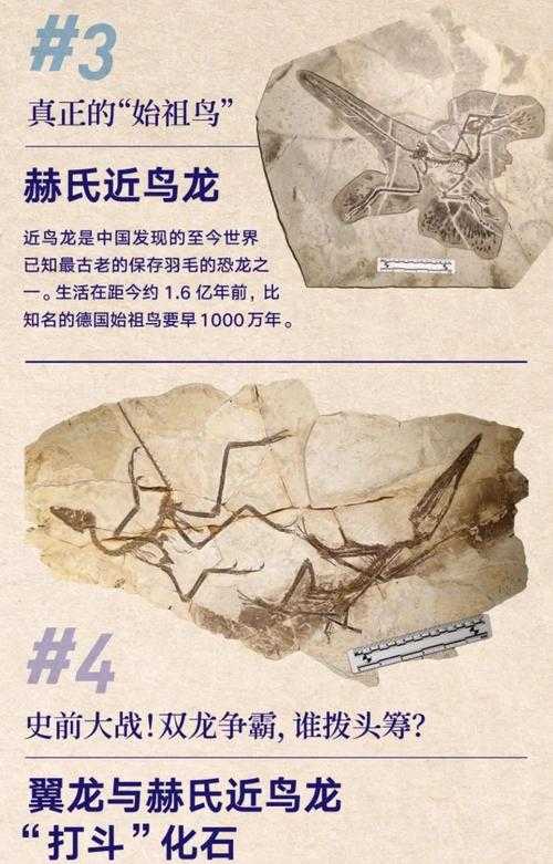 2025年旅行新物种图鉴 在地球的褶皱里打捞惊喜