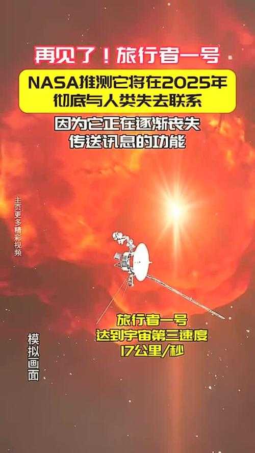 2025年旅行者手记 那些藏在数据背后的真实体验