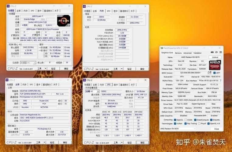 2025年显卡江湖生存指南 AMD Radeon如何突围