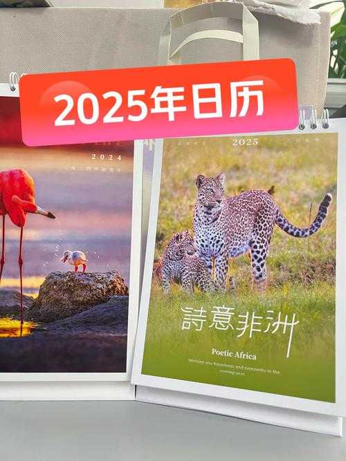 2025年普通人获取优质图片的实用指南