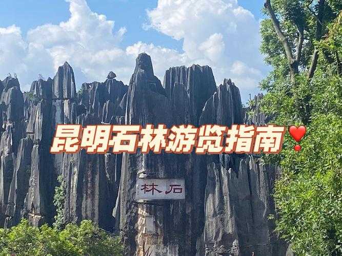 2025年景区创业实战指南 从石林到盈利的六条铁律