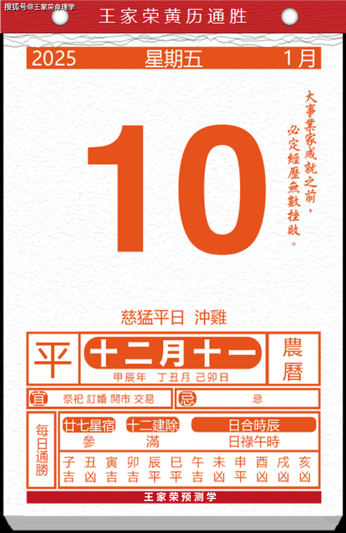 2025年智能养宠全攻略 从新手到大师的10个关键步骤