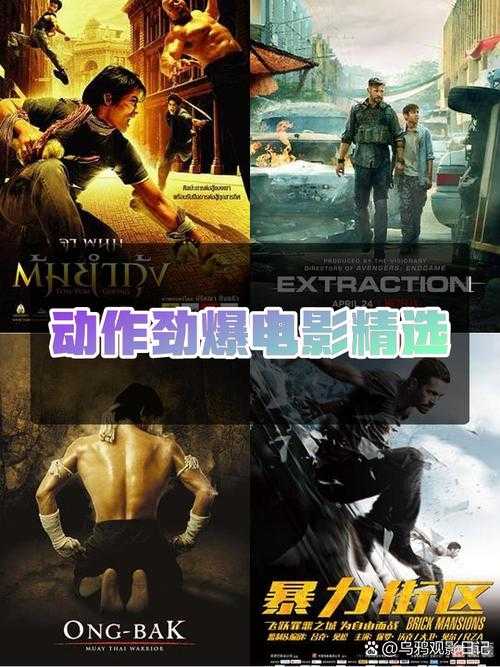 2025年最值得一看的10部热血动作片推荐 附深度对比