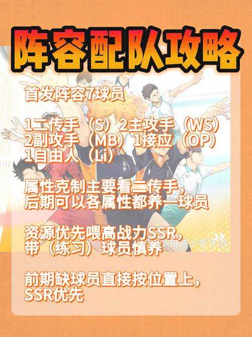 2025年最值得体验的排球手游大赏 玩法 口碑与版本热度的全