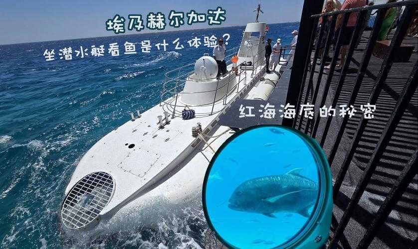 2025年最值得入坑的潜水艇游戏全攻略