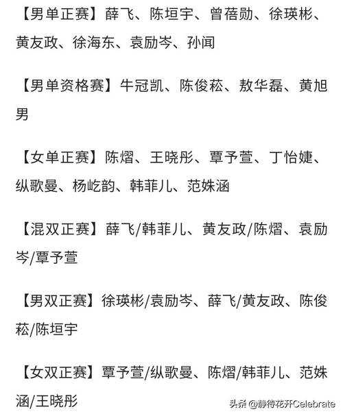 DFM双国籍归属与2025赛事解析