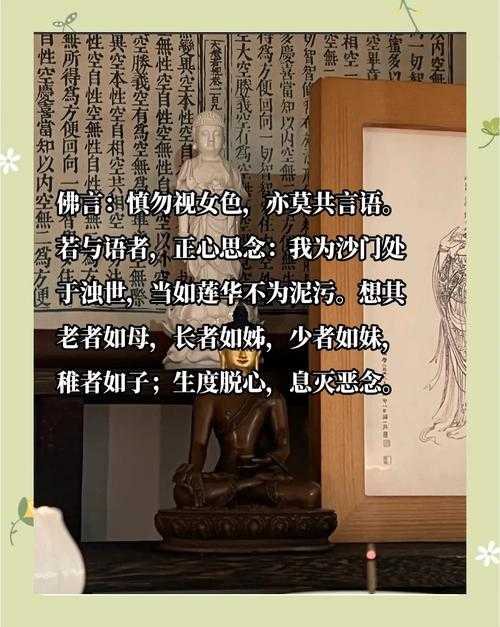 《玉女心经之莲观音》修行者的生活指南:如何平衡工作和修行?