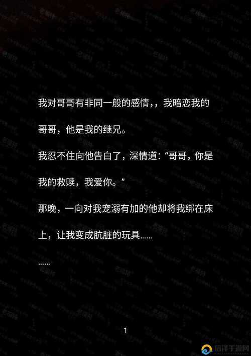车速很高的 R 文双男:激情与速度的碰撞