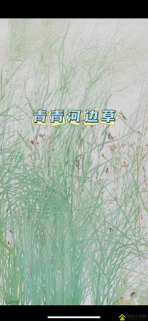 青青河边草高清免费版新闻:重温经典