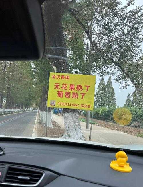 红石榴村旅游攻略:必去景点与美食打卡指南