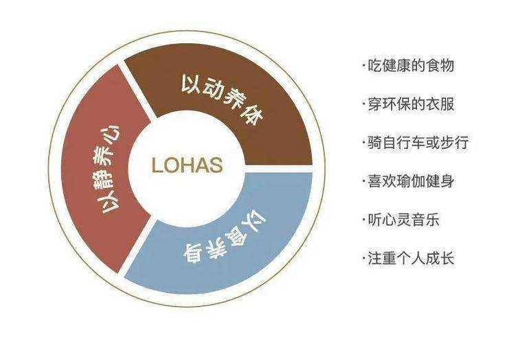 高康张睿租赁空间实践录:构建高效社交与舒适人居的平衡之道