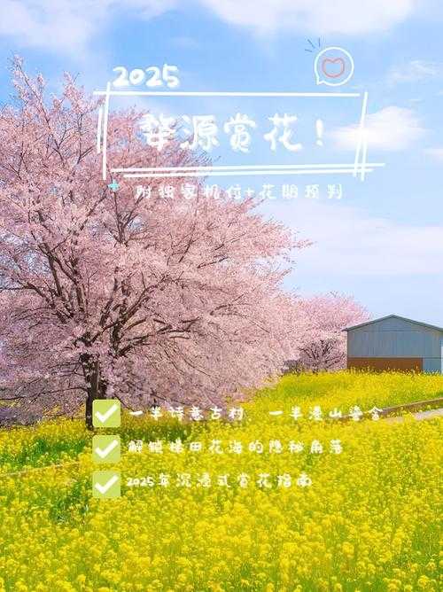 高清全纪录：沉浸式赏花之旅，从种植技巧到艺术鉴赏，解锁丁香花全攻略！