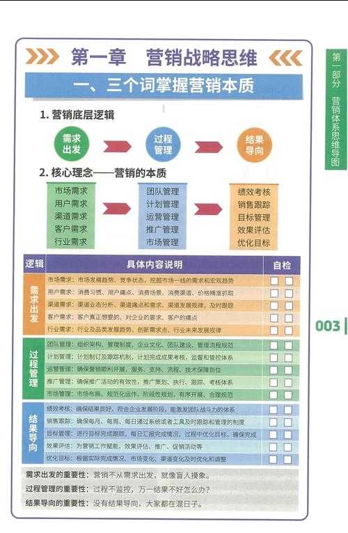 高效的市场运作：精准的营销策略与快速反应能力