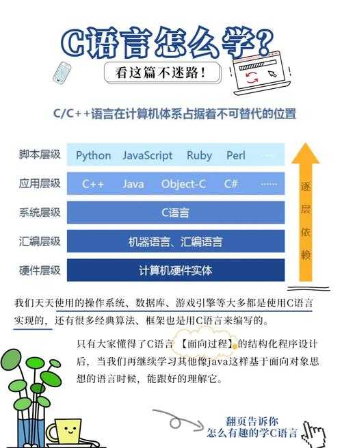 C与C++2025对比:模板应用指南