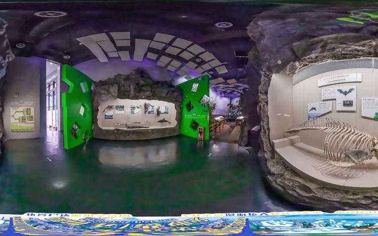 砖墙挑战者孕期冒险:一场创新挑战的沉浸式虚拟体验