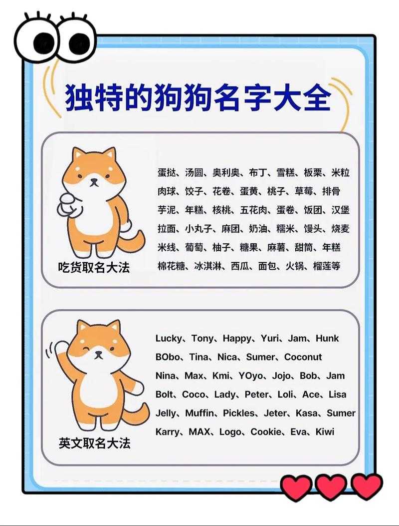 独特好听的狗狗名字大全，萌宠取名必备