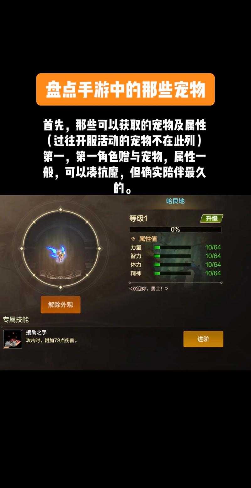 DNF第9期战令宠物值不值得冲？属性解析