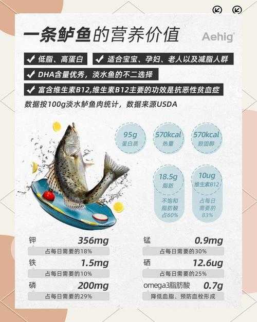 鲈鱼酒柜:晨起品鲜,以鲜酿重构生活美学
