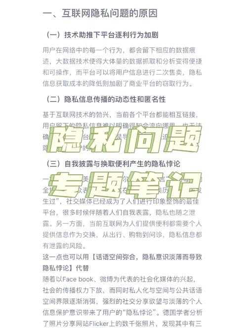 以下是对该隐私保护与影像处理建议的系统性解读及实践指南: