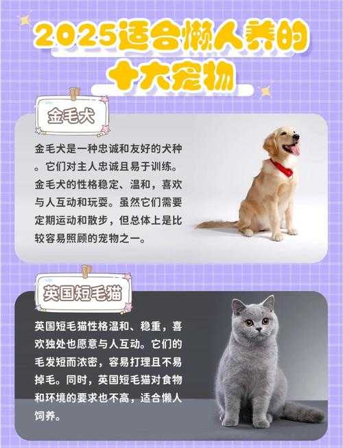 2025年最值得入手的宠物主题网游全解析
