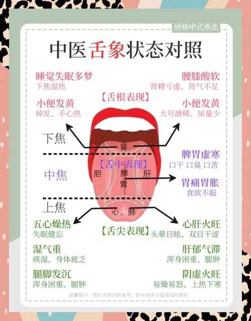 舌头保养提升味觉体验,口腔健康影响食物感知