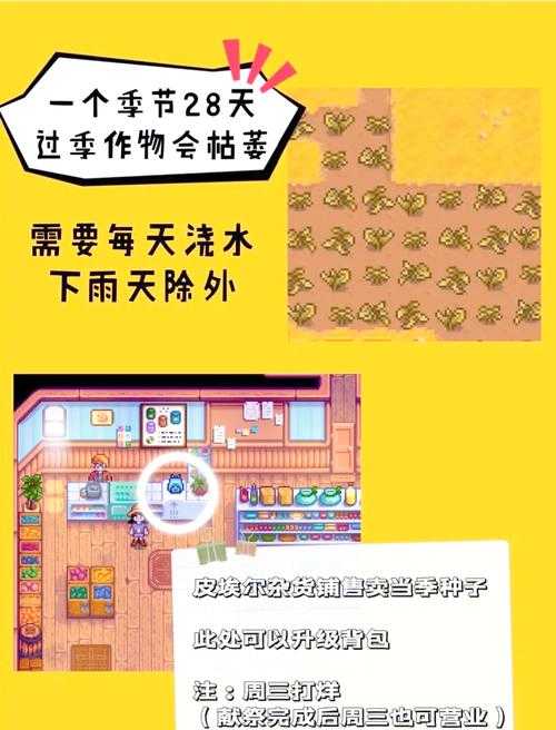 初学者的疑惑解答:如何选择适合的游戏?
