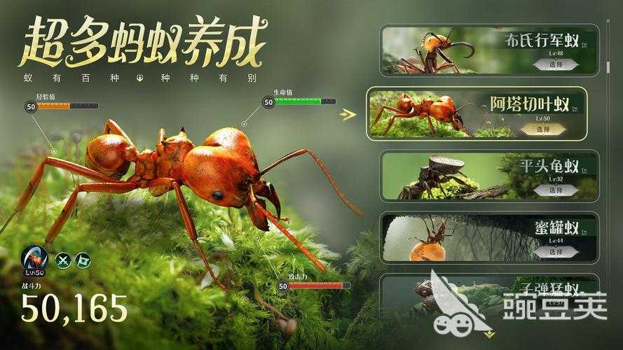 2025年最值得关注的3D游戏 幻境星海 深度体验报告