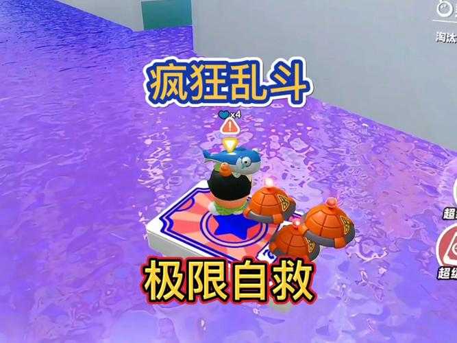 疯狂乱爽：极致体验，挑战想象极限