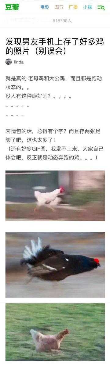 鸥美曰A片：笑料横飞，另类娱乐新体验，颠覆传统笑点！