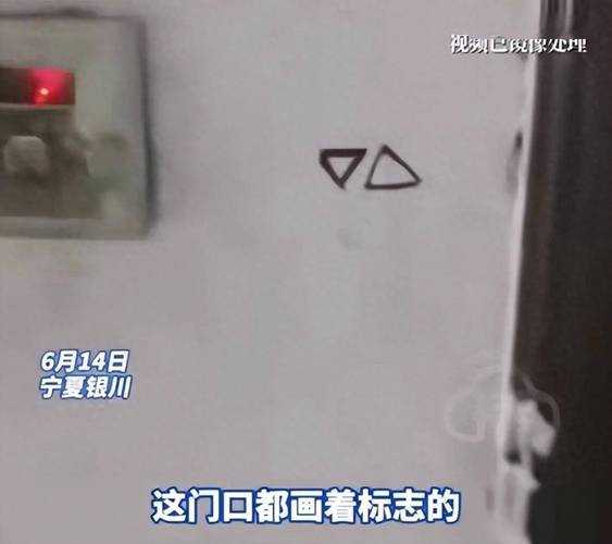 快播怡红：揭秘网络记忆中的特殊现象