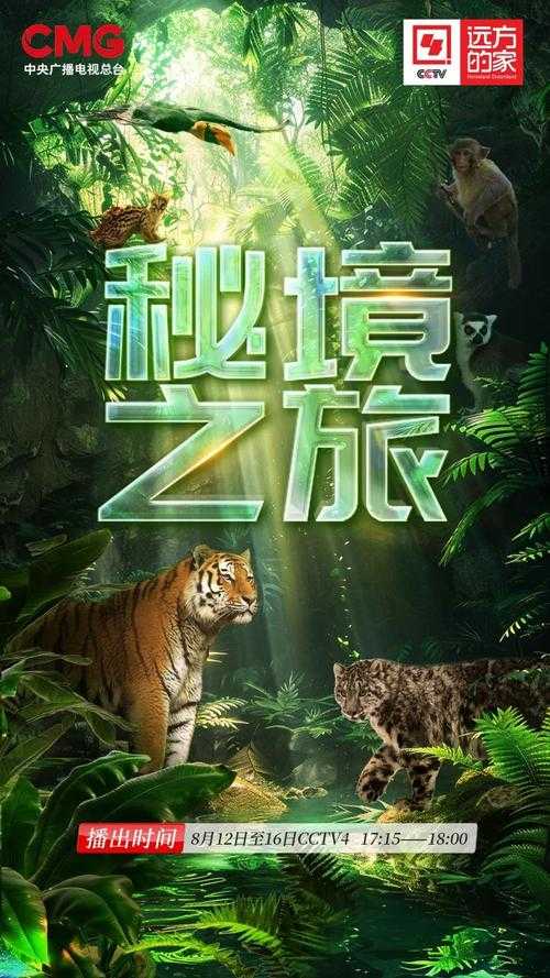 手慢慢游走探索未知秘境:丛林深处探险之旅