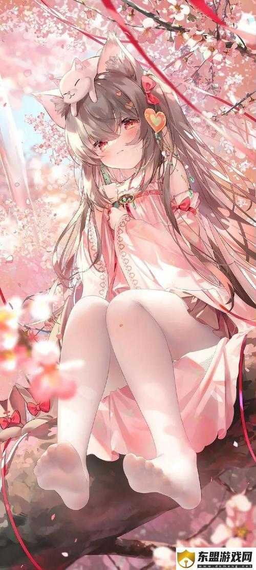 如何在哔哩哔哩免费看少女视频内容攻略