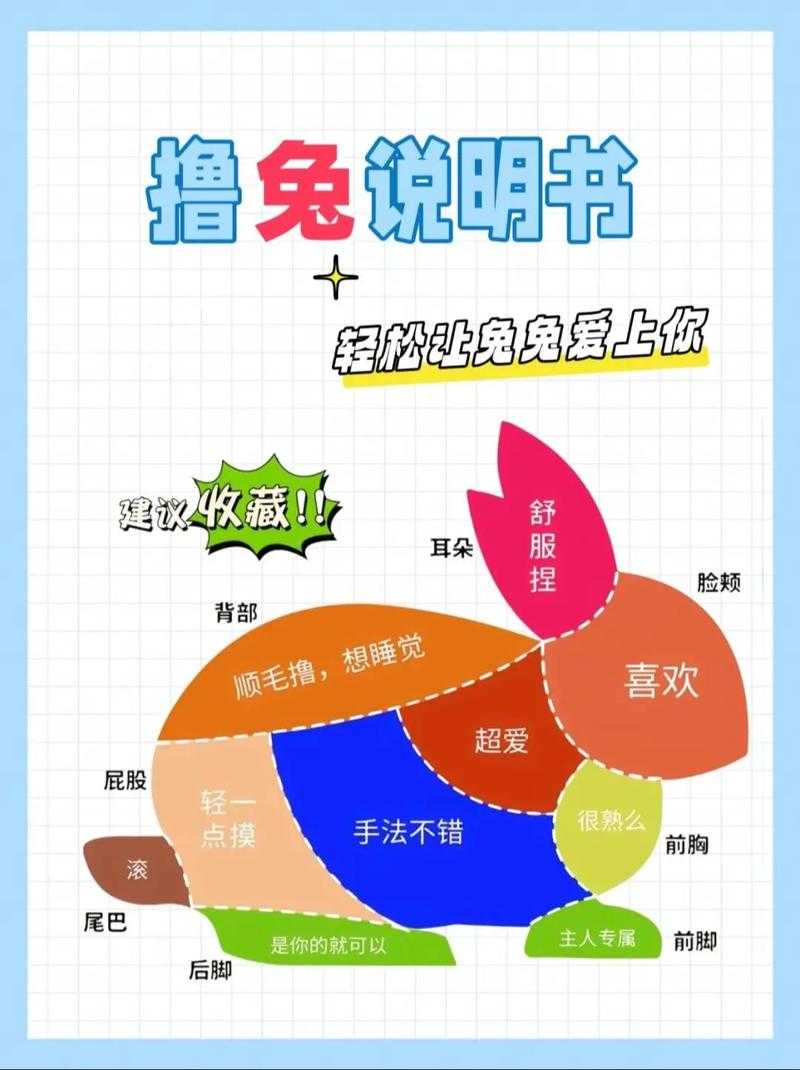 老公陷入“兔囧”怎么办?揭秘“抓兔狂潮”应对攻略