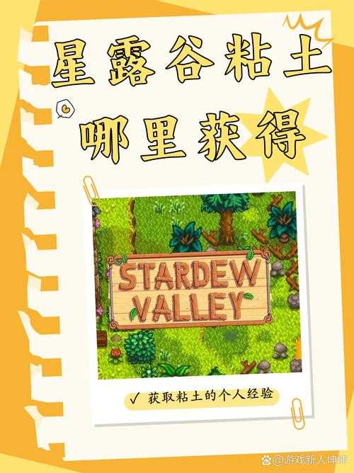 星露谷物语放大镜获取方法详解