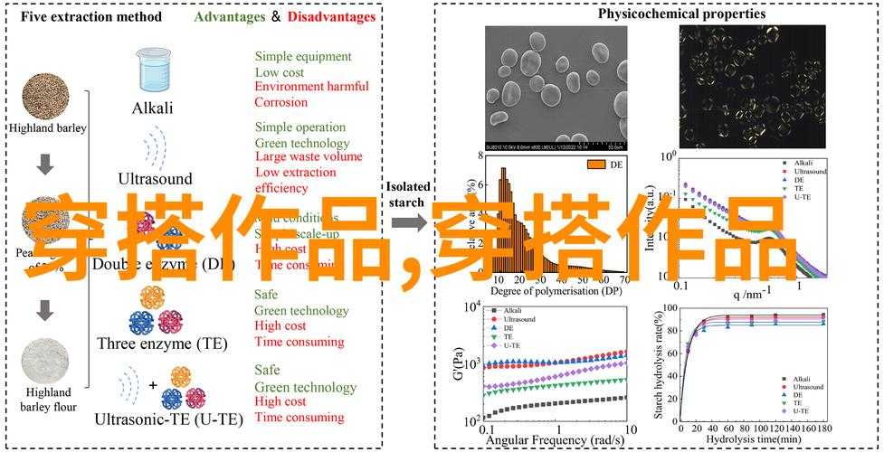 国产传媒MV小说创新解析与未来趋势展望