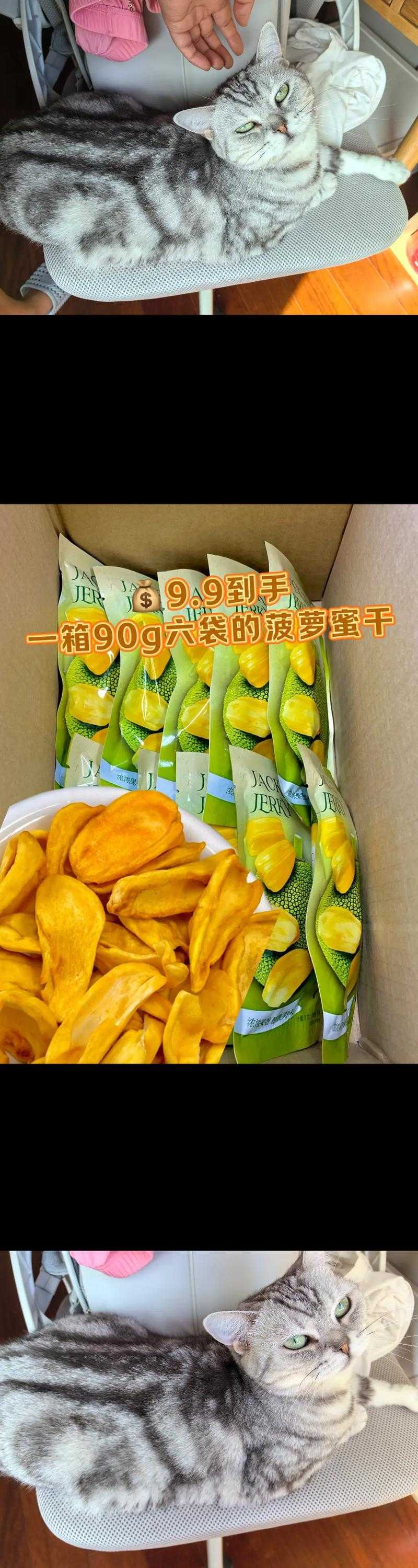 菠萝蜜免费追剧,便捷在线观看,网友点赞:这才是追剧新潮流!