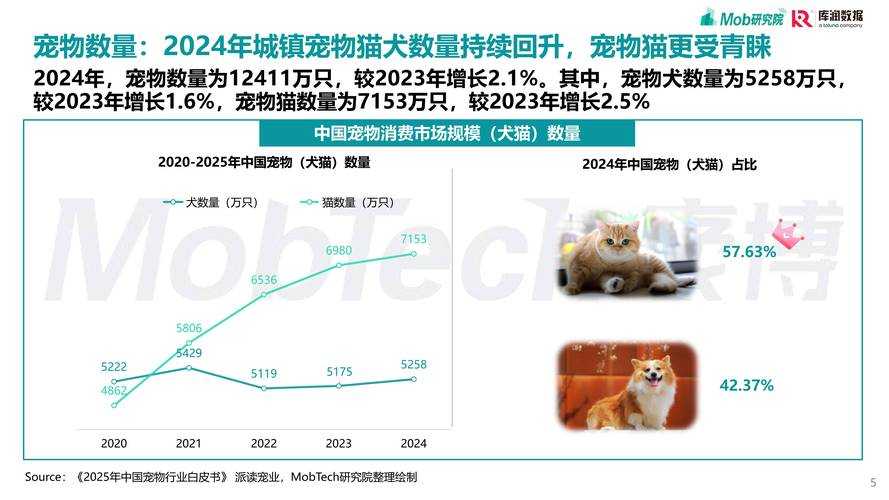 2025年最值得养的陪伴型宠物全解析