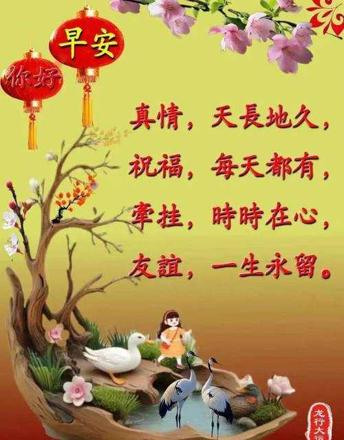 2025年最实用的早安图文制作App全测评