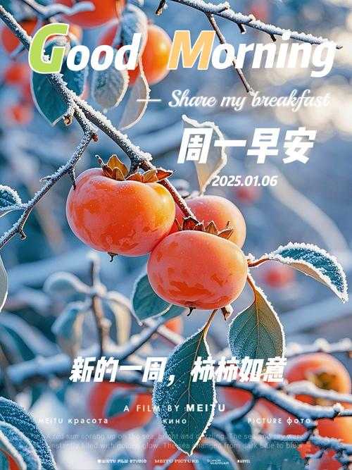 2025年最实用的早安播报APP测评报告