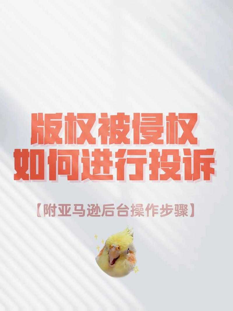 2025年最新 小莉帮忙 求助指南 手把手教你高效维权