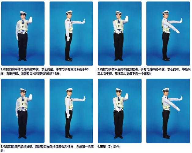 2025年最新交警手势教学视频获取全攻略