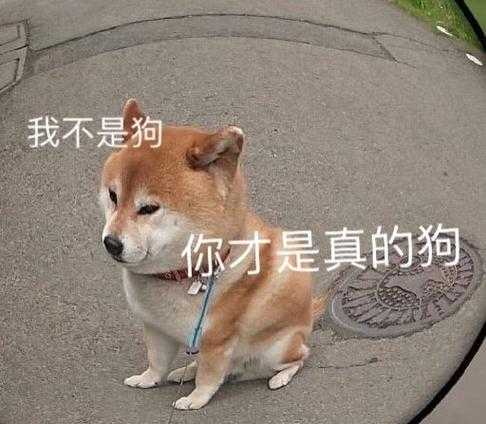 2025年最新大狗表情包带字图片大全集