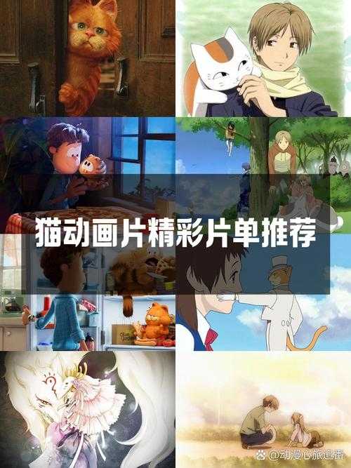 2025年最新小白猫动画观影全攻略