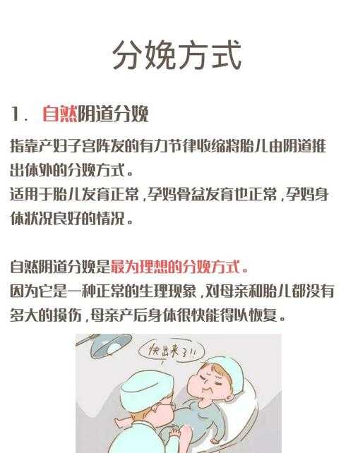 2025年最新小马繁育全攻略 从配种到分娩的72小时实战指南