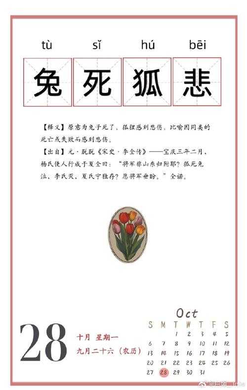 2025年最新整理 含 兔 和 哭 元素的成语全解析
