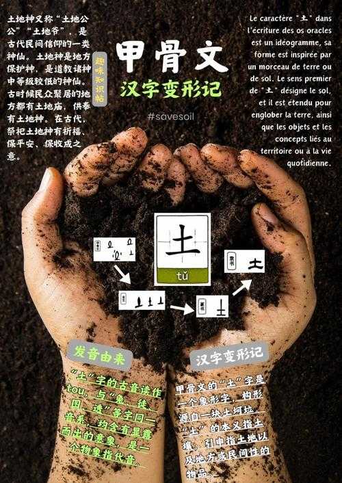 2025年最新整理 土字旁成语生存指南